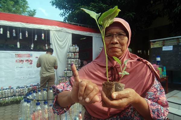  Nyoblos Berhadiah Bibit Pohon