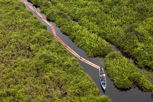  Kejagung Siapkan Jerat untuk Korporasi Penikmat Illegal Logging