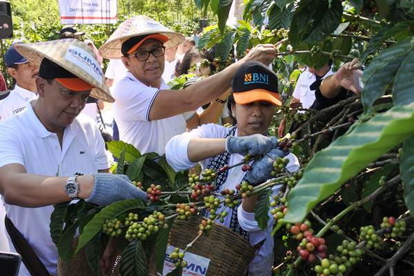  Rini Soemarno Petik Kopi