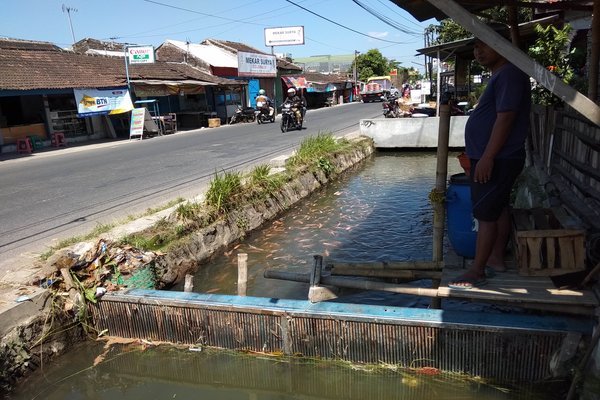  Ada Sungai Kotor jadi Aquarium Alam di Boyolali