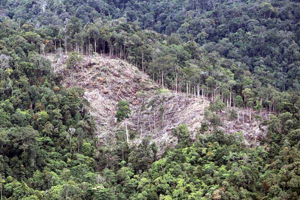  Luas Kawasan Ekosistem Leuser Menyusut