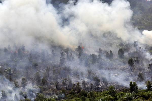  Kebakaran Hutan dan Lahan di Ogan Komering Ilir