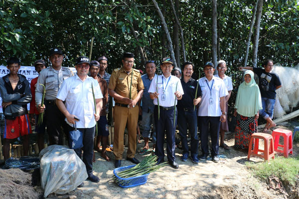  Turut Lestarikan Lingkungan, AP1 Serahkan 25.000 Bibit Mangrove