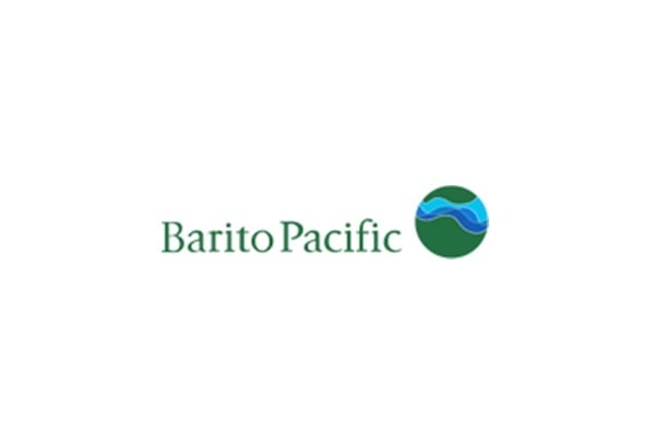 Barito Pacific (BRPT) Siapkan Capex US$1,19 Miliar demi Genjot Petrokimia 