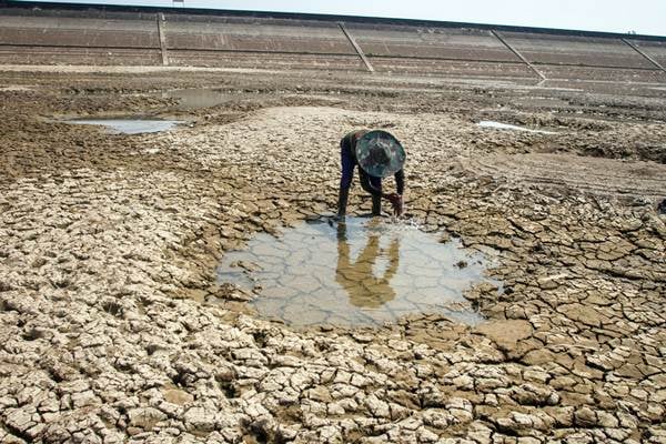  Waduk Botok di Sragen Mengering