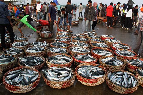  Gelombang Tinggi, Harga Ikan di Pasar Kedonganan Bali Naik 40%