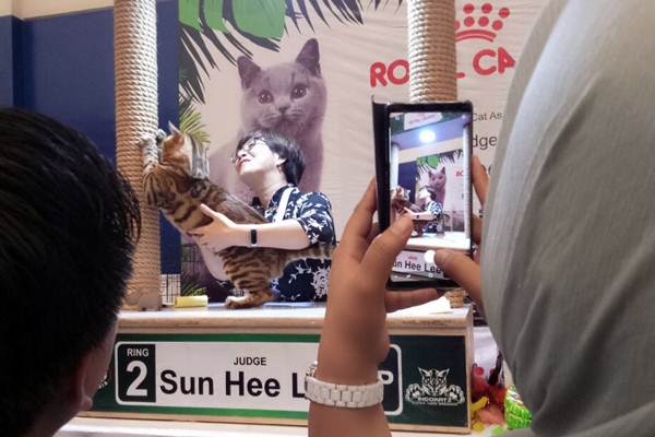  Penyelenggaraan The International Cat Show