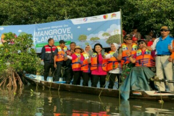  Wima Ina Surabaya Tanam 5.000 Bibit Mangrove