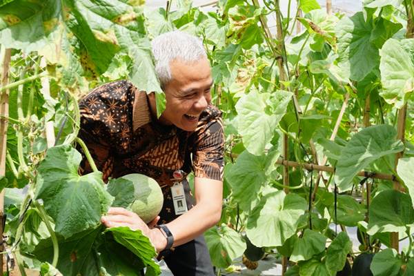  Ganjar Pranowo Ingin Jateng Kembangkan Pertanian Berkelanjutan