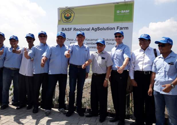  BASF Resmikan Regional AgSolution Farm di Jember, Ini Tujuannya