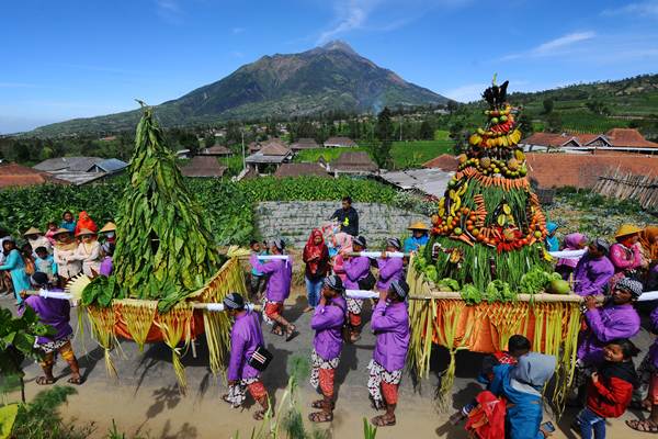  Kirab Tradisi Tungguk Tembakau