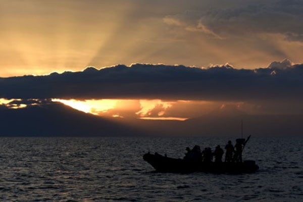  32.000 Benih Ikan Ditebar di Danau Toba