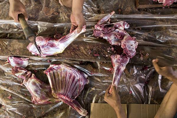  Pemprov DKI & Yayasan ACT Akan Salurkan Daging Kurban ke 122 RW 