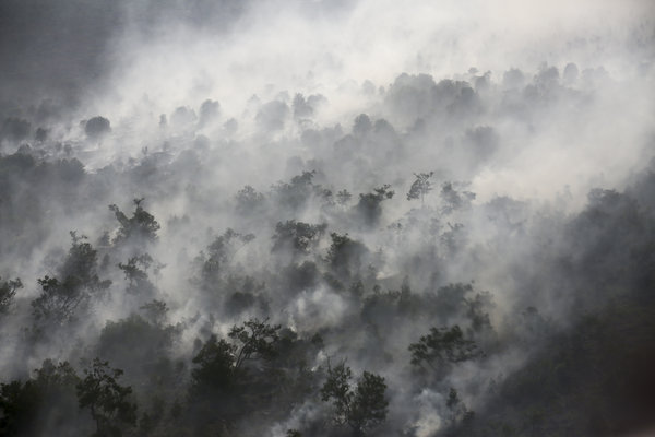  Kebakaran Hutan di Sumsel Semakin Parah, Ada 169 Titik Panas