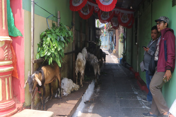  SEJARAH KOTA, Pasar Kambing Semarang Dulu & Kini