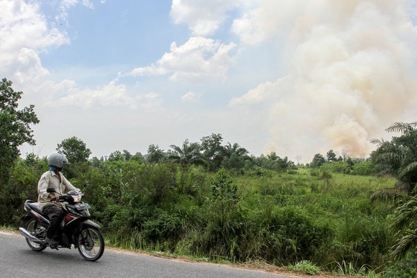  Kebakaran Lahan di Pesisir Riau Masih Membara