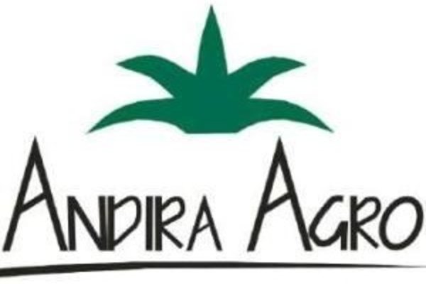  Mayoritas Saham Andira Agro (ANDI) Diserap Sesuai Manajemen