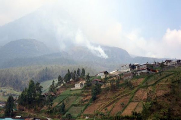  Pembangunan Anak Tangga Gunung Lawu Jadi Kontroversi