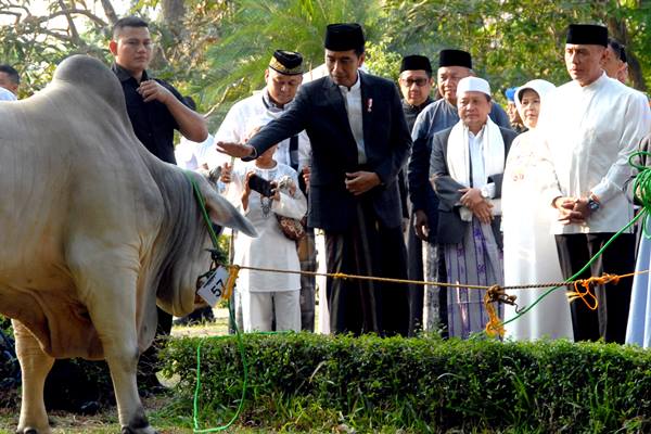  750 Kantong dari 1 Ton Lebih Sapi Jokowi Dibagikan ke Warga Miskin Sumbar