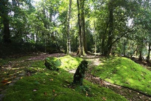 Kebun Raya Sampit di Kalimantan Tengah/Antara