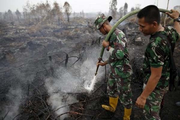  Kebakaran Hutan: Presiden Jokowi Didesak Laksanakan Putusan Pengadilan dan Cabut Kasasi 