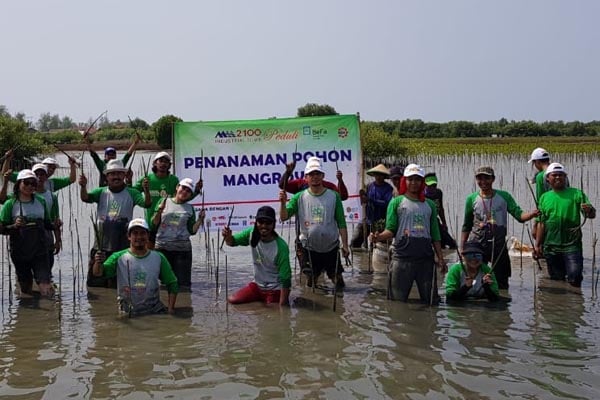  Bekasi Fajar Tanam 13.000 Pohon Mangrove