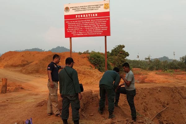  KLHK Gerebek dan Sita 7 Ekskavator Tambang di Habitat Orang Utan Sungai Tulak Ketapang