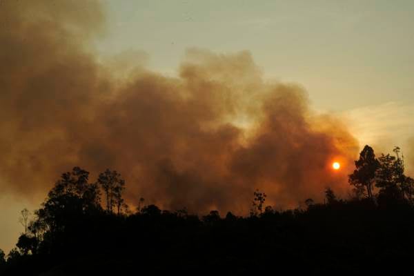  15 Helikopter Jinakkan Kebakaran Hutan di Sumsel