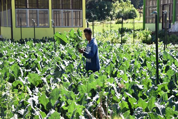  2019, Badung Kembangkan Agro Techno Park 