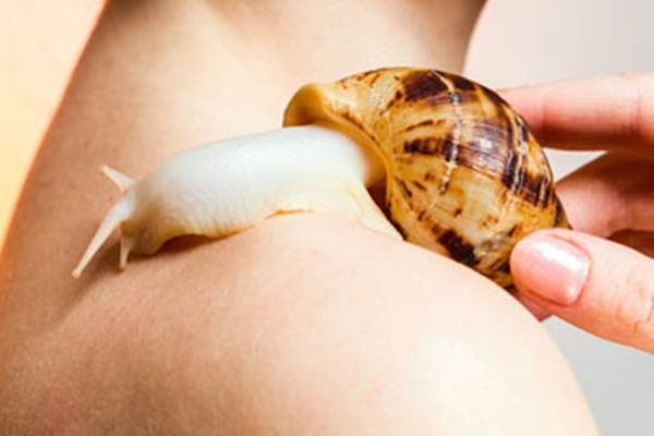 Ilustrasi snail cream/Istimewa