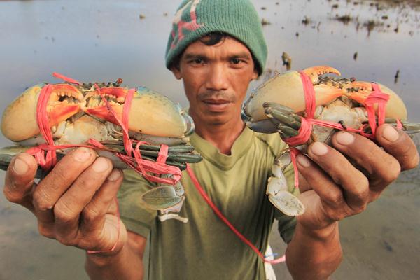  Proses Hukum Nelayan Penangkap Kepiting Bakal Berlanjut