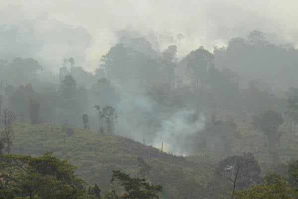  Hutan Gunung Lawu Kembali Terbakar