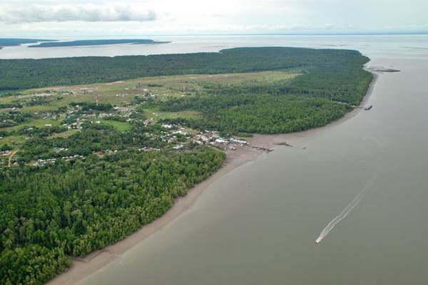  Catat, Ini Jadwal Tender Pengelola Kawasan Industri Teluk Bintuni