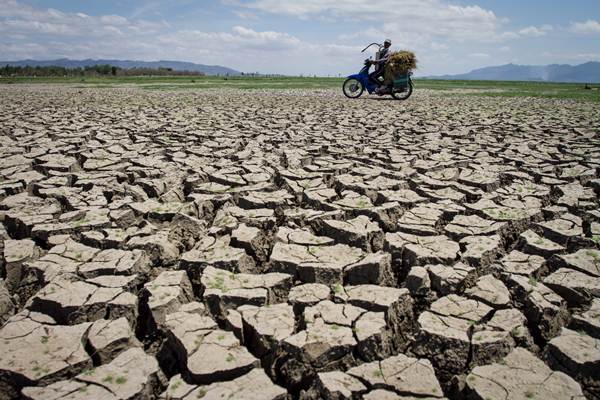  Kekeringan Landa 31 Desa di Wonogiri