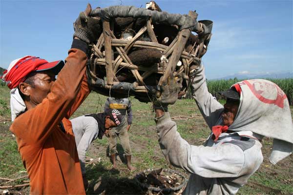  PT Ripta Food Indonesia dan Harkant Trading Asia Pacific Perluas Pasar Tapioka ke India dan China