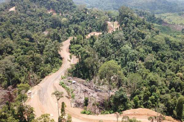  Begini Progres Pembangunan Jalan Perbatasan di Kalimantan