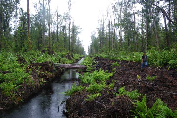  Di Kalimantan, Air Gambut \'Disulap\' Jadi Layak Minum 