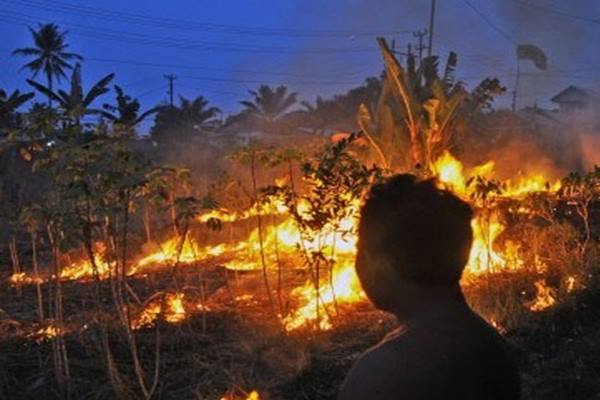  KEBAKARAN LAHAN: 3 Perusahaan Perkebunan Dinyatakan Bersalah, Denda Miliaran Rupiah