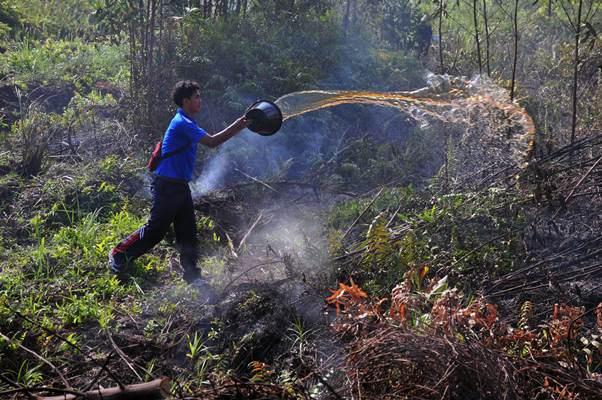  Angin Segar Penegakan Hukum Karhutla dari MA