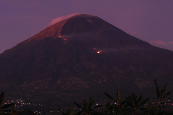  Kebakaran Hutan Gunung Sindoro Terus Meluas