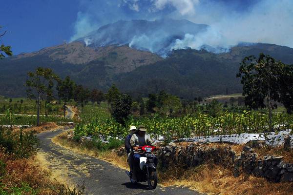  Kebakaran Hutan Gunung Sumbing di Temanggung