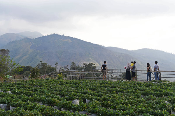  Gunung Lawu Mencari Investor Pengembangan Wisata