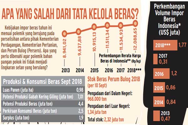  Polemik Impor Beras Meruncing