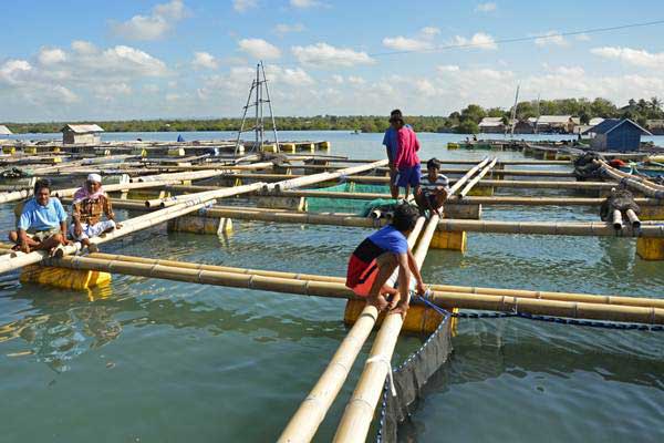  Nelayan Gili Ketapang Mulai Budi Daya Kerapu Keramba