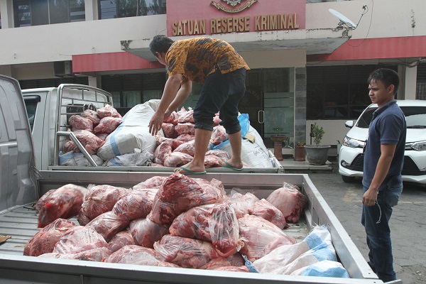  Daging Celeng Disarankan Sebagai Makanan Hewan di Taman Margasatwa