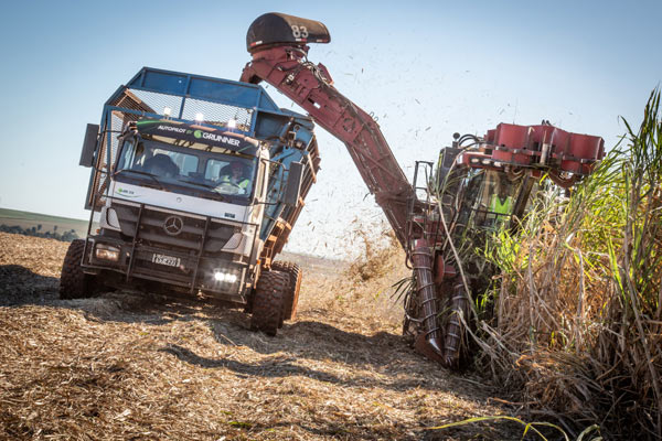  Mercedes-Benz Axor Otonom Panen Tebu di Brasil, Begini Cara Kerjanya