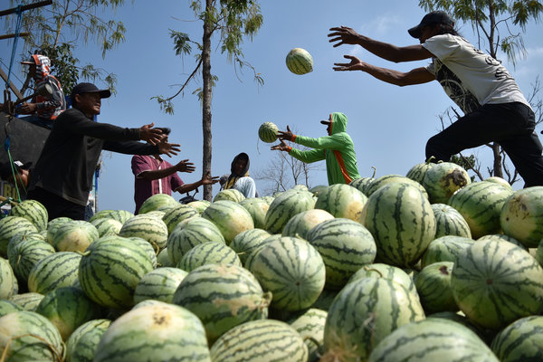  Pemkot Padang Kembangkan Wisata Agro di Pasar Raya