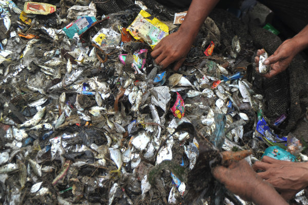  SAMPAH LAUT, 37% Berjenis Plastik & Sulit Terurai