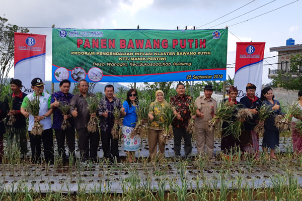  BI Bali Berhasil Buktikan Buleleng Bisa Jadi Sentra Bawang Putih