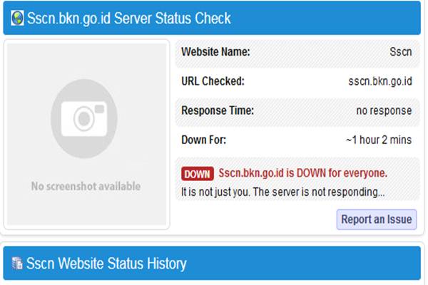 CPNS 2018: Server Portal Pendaftaran SSCN Sering Down